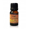 10 ml Zázvor